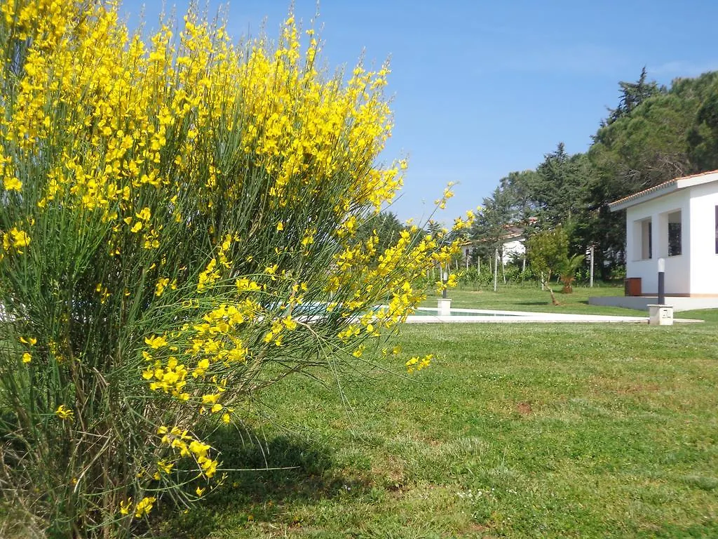 Agriturismo San Giuseppe Villa Gavorrano